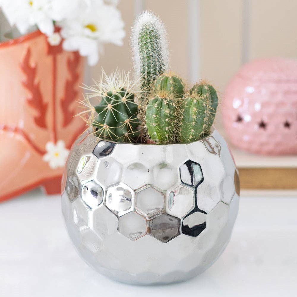 Ceramic Disco Ball Plant Pot