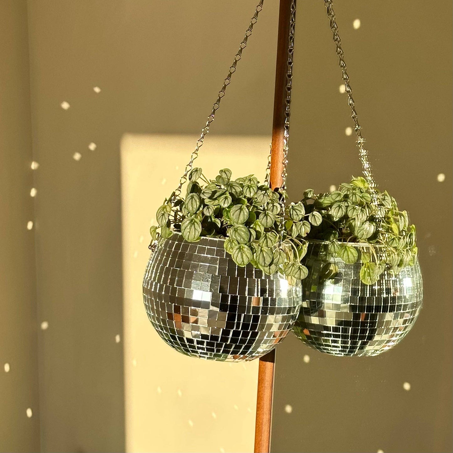 Disco Ball Planter - November Moon