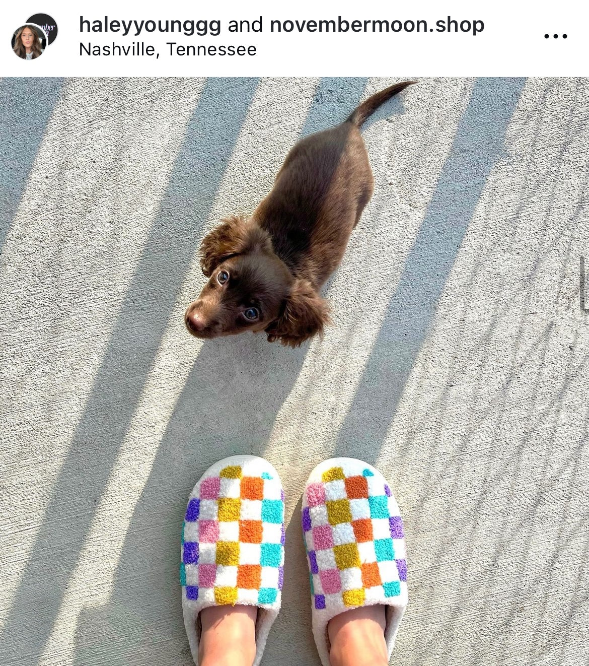 Multicolored Checkered Slippers