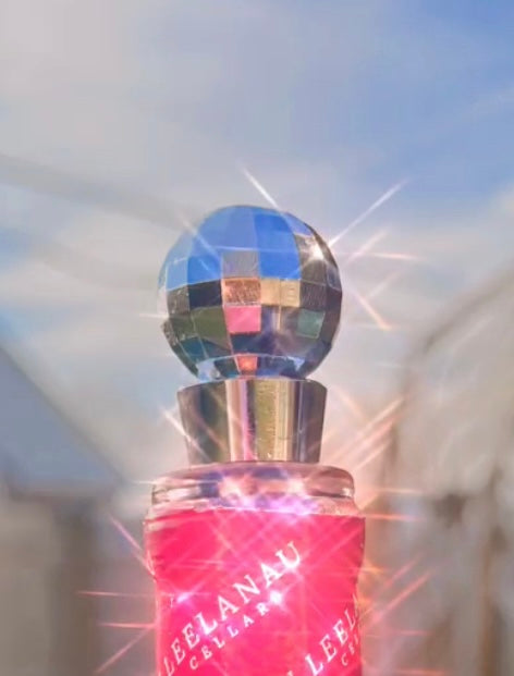Disco Wine Stopper