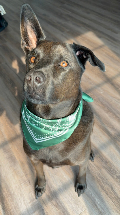 Green Satin Bandana Scarf
